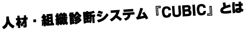 人材・組織診断システム「CUBICとは」