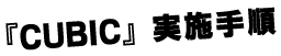 CUBIC実施手順