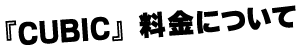 CUBIC料金について