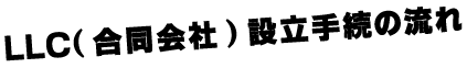 LLC設立手続きの流れ