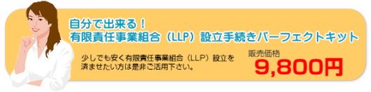合同会社(LLC)増資手続パーフェクトマニュアル