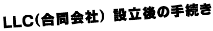 LLC設立後の手続き