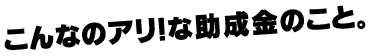 こんなのアリ！な助成金のこと。